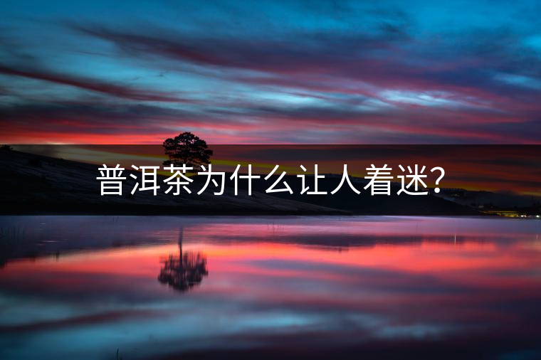 普洱茶為什么讓人著迷？