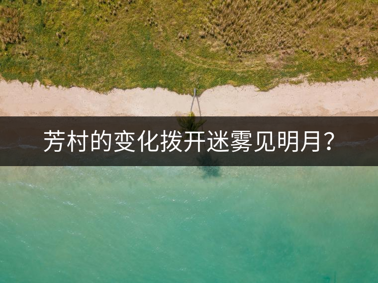 芳村的變化撥開(kāi)迷霧見(jiàn)明月？