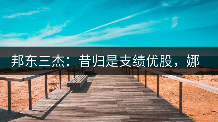 邦東三杰：昔歸是支績(jī)優(yōu)股，娜罕是支潛力股