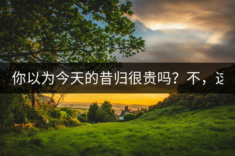 你以為今天的昔歸很貴嗎？不，這只是開始！