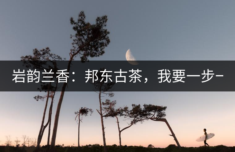 巖韻蘭香：邦東古茶，我要一步一步往上爬！