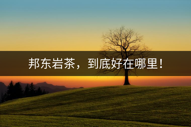 邦東巖茶，到底好在哪里！