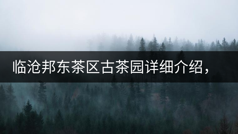 臨滄邦東茶區(qū)古茶園詳細(xì)介紹，邦東古樹茶特點(diǎn)