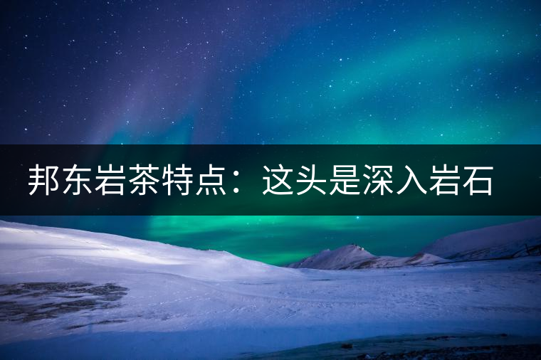 邦東巖茶特點(diǎn)：這頭是深入巖石的根，那頭是臨風(fēng)飄香的古韻