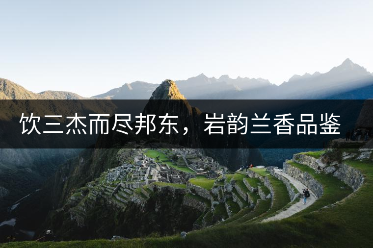 飲三杰而盡邦東，巖韻蘭香品鑒：生于山石上，韻味正當