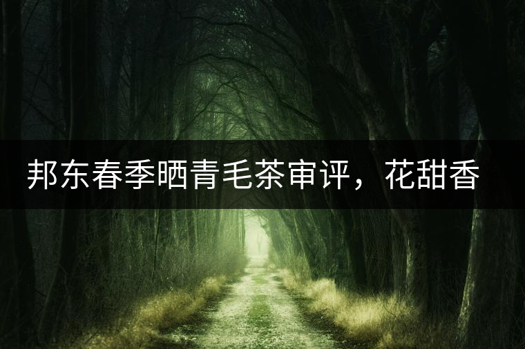 邦東春季曬青毛茶審評(píng)，花甜香高揚(yáng)甘爽潤(rùn)滑