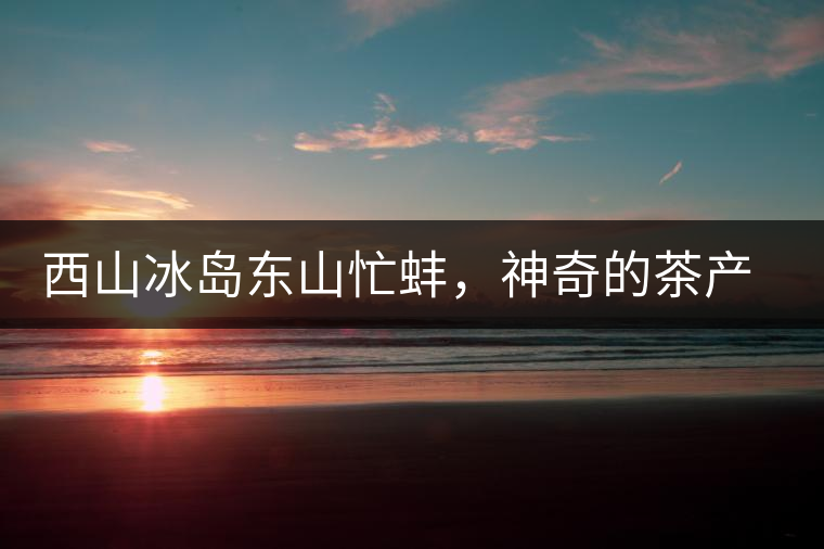西山冰島東山忙蚌，神奇的茶產區(qū)勐庫