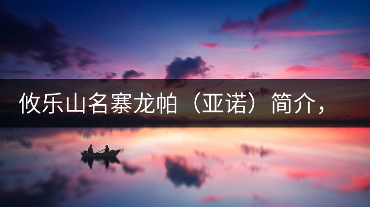 攸樂山名寨龍帕（亞諾）簡介，亞諾古樹茶特點(diǎn)