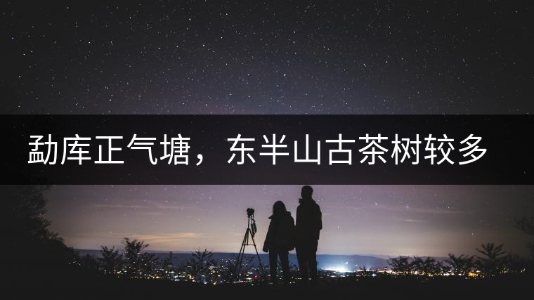 勐庫(kù)正氣塘，東半山古茶樹較多的寨子