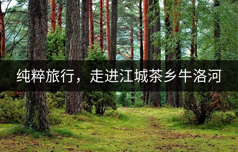 純粹旅行，走進江城茶鄉(xiāng)牛洛河