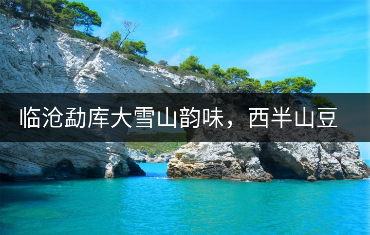 臨滄勐庫(kù)大雪山韻味，西半山豆腐寨古樹茶