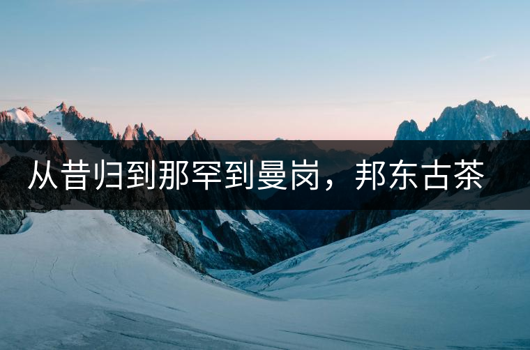 從昔歸到那罕到曼崗，邦東古茶藏著一條規(guī)律！