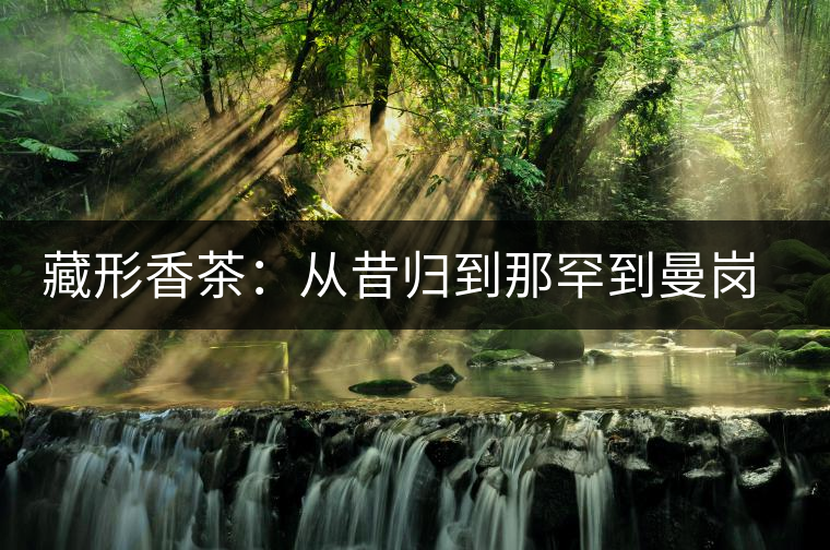 藏形香茶：從昔歸到那罕到曼崗，邦東古茶藏著一條規(guī)律！