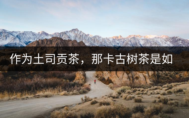 作為土司貢茶，那卡古樹(shù)茶是如何在眾多茶中脫穎而出的