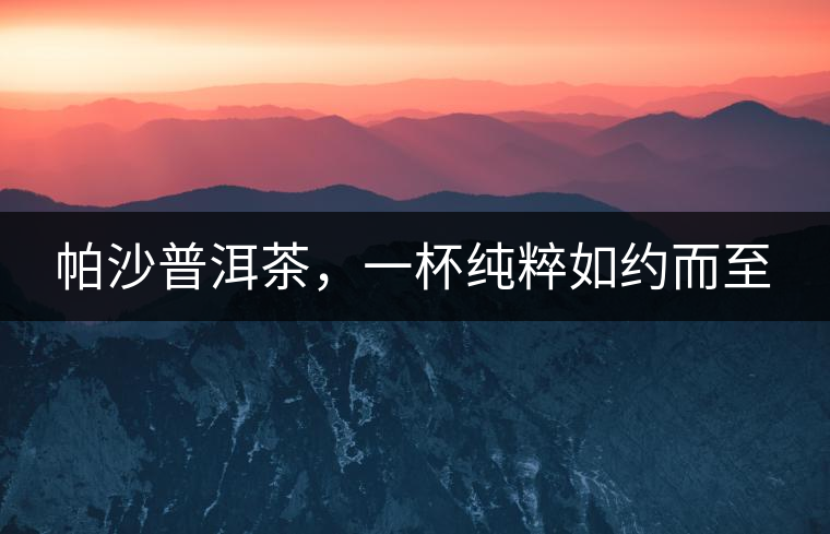 帕沙普洱茶，一杯純粹如約而至