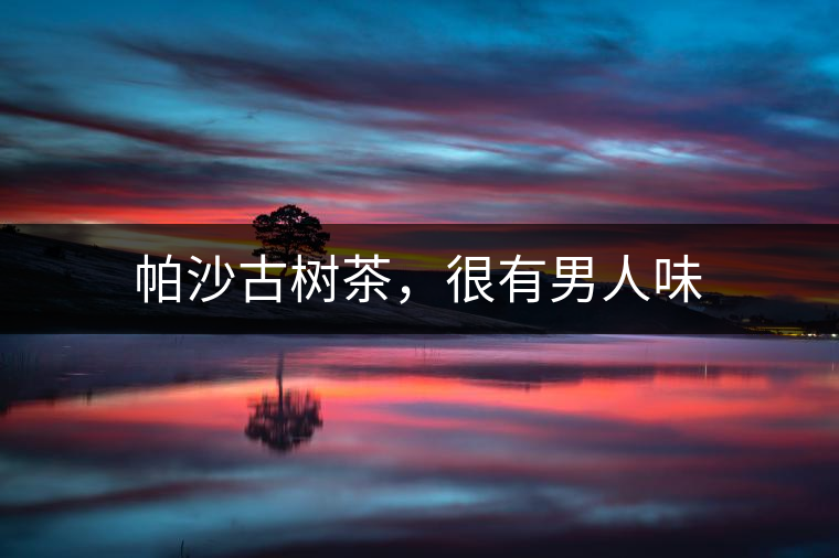 帕沙古樹茶，很有男人味