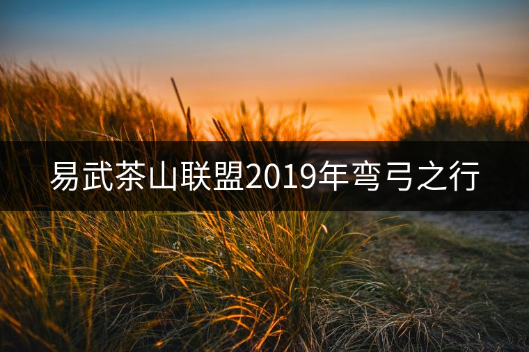 易武茶山聯(lián)盟2019年彎弓之行 易武茶山聯(lián)盟2019年彎弓之行