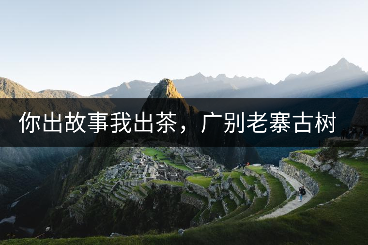 你出故事我出茶，廣別老寨古樹妖茶