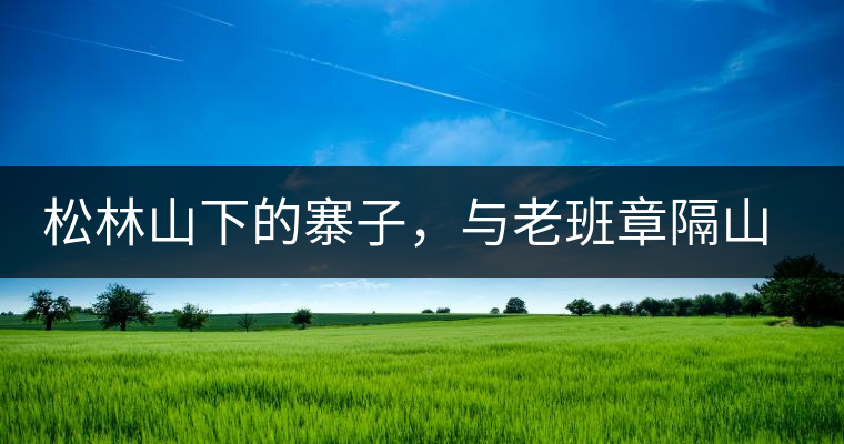 松林山下的寨子，與老班章隔山相望的廣別老寨