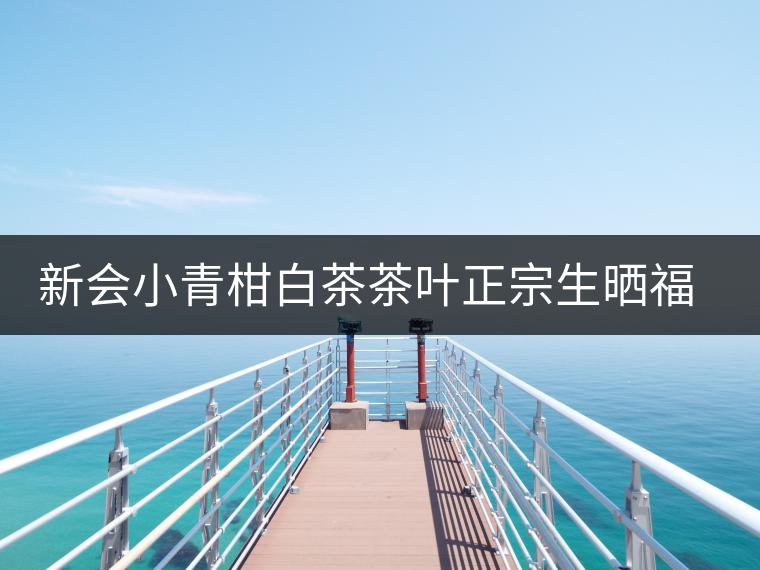 新會小青柑白茶茶葉正宗生曬福鼎貢眉龍珠老白茶君宜散裝罐裝