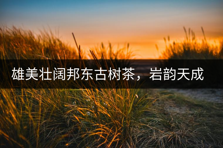 雄美壯闊邦東古樹茶，巖韻天成甘香鮮靈