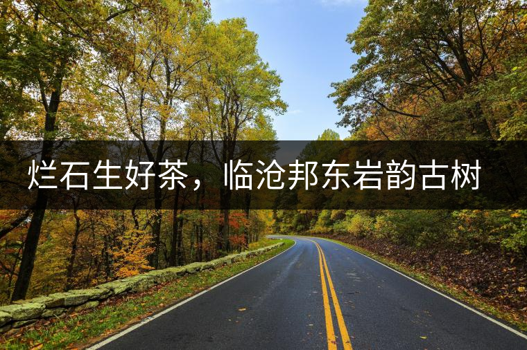 爛石生好茶，臨滄邦東巖韻古樹普洱茶