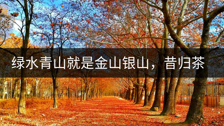 綠水青山就是金山銀山，昔歸茶農(nóng)唱著“茶歌”奔小康