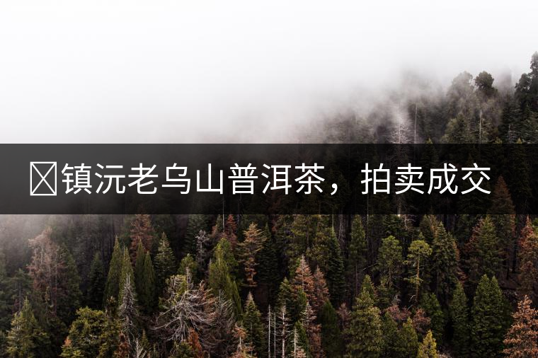 ?鎮(zhèn)沅老烏山普洱茶，拍賣成交價(jià)再創(chuàng)新高