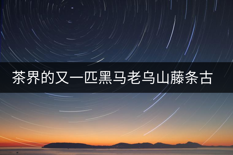 茶界的又一匹黑馬老烏山藤條古樹普洱茶特點介紹
