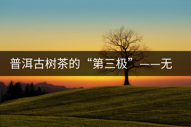 普洱古樹茶的“第三極”——無(wú)量山茶區(qū) 普洱古樹茶的“第三極”——無(wú)量山茶區(qū)