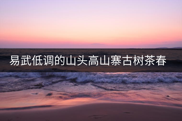 易武低調(diào)的山頭高山寨古樹茶春茶 易武低調(diào)的山頭高山寨古樹茶春茶