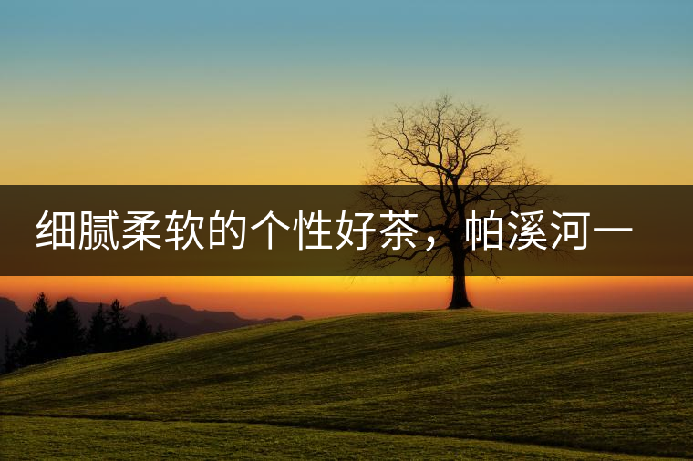 細(xì)膩柔軟的個(gè)性好茶，帕溪河一扇磨古樹茶