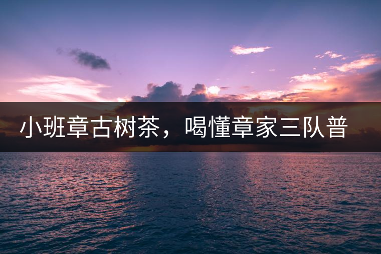 小班章古樹(shù)茶，喝懂章家三隊(duì)普洱茶