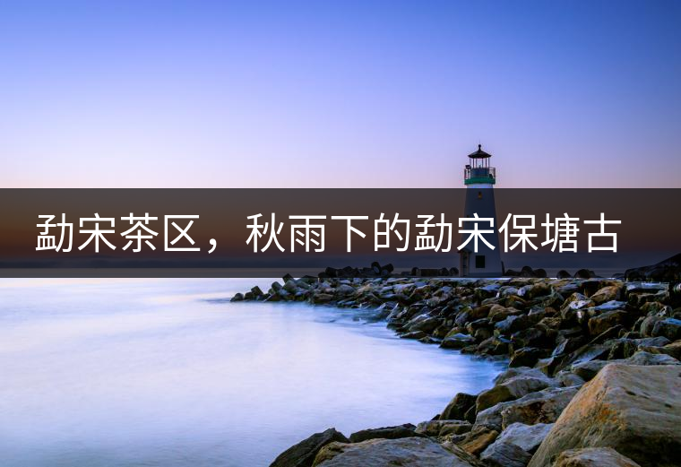 勐宋茶區(qū)，秋雨下的勐宋保塘古茶園