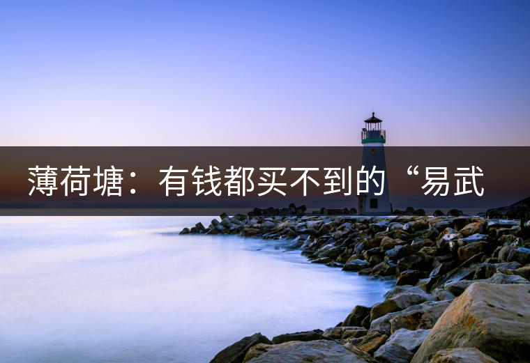 薄荷塘：有錢都買不到的“易武貴胄”，卓爾不群，無茶可及