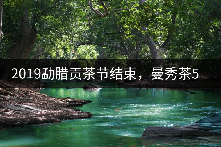 2019勐臘貢茶節(jié)結(jié)束，曼秀茶5公斤107萬奪得金獎(jiǎng)