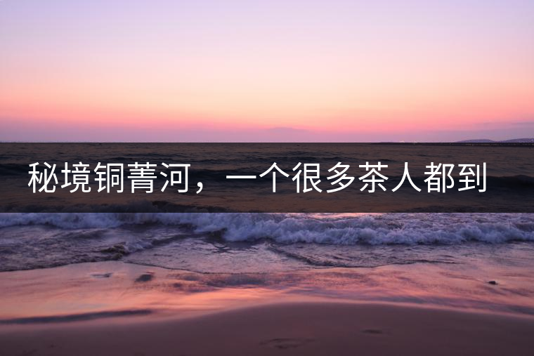 秘境銅菁河，一個很多茶人都到不了的地方