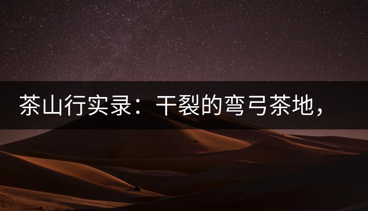 茶山行實錄：干裂的彎弓茶地，干旱減產(chǎn)已成定局