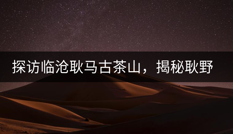 探訪臨滄耿馬古茶山，揭秘耿野生古茶樹(shù)群落