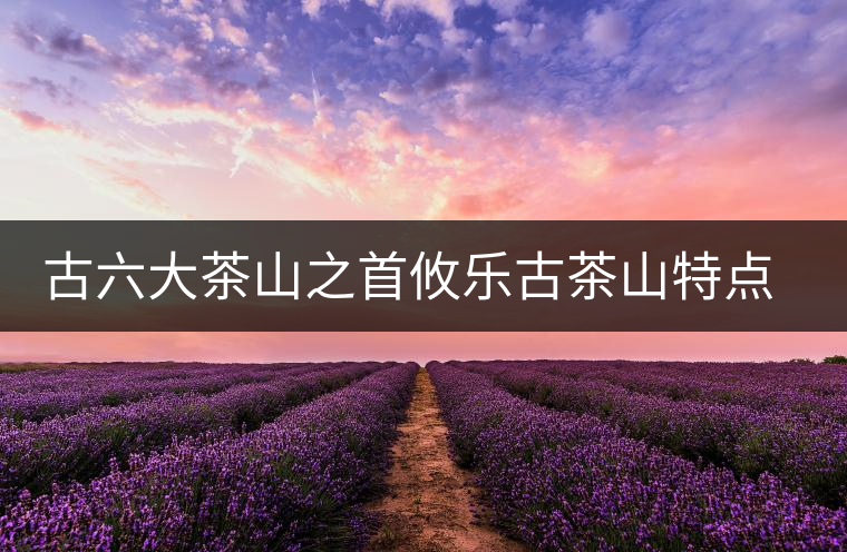 古六大茶山之首攸樂古茶山特點(diǎn)介紹 古六大茶山之首攸樂古茶山特點(diǎn)介紹