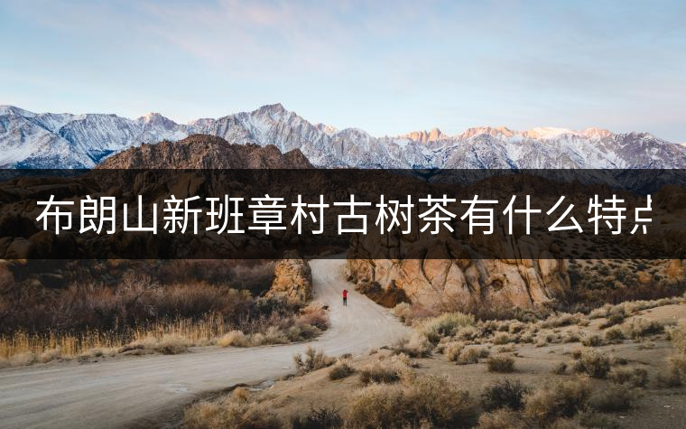 布朗山新班章村古樹茶有什么特點(diǎn)？