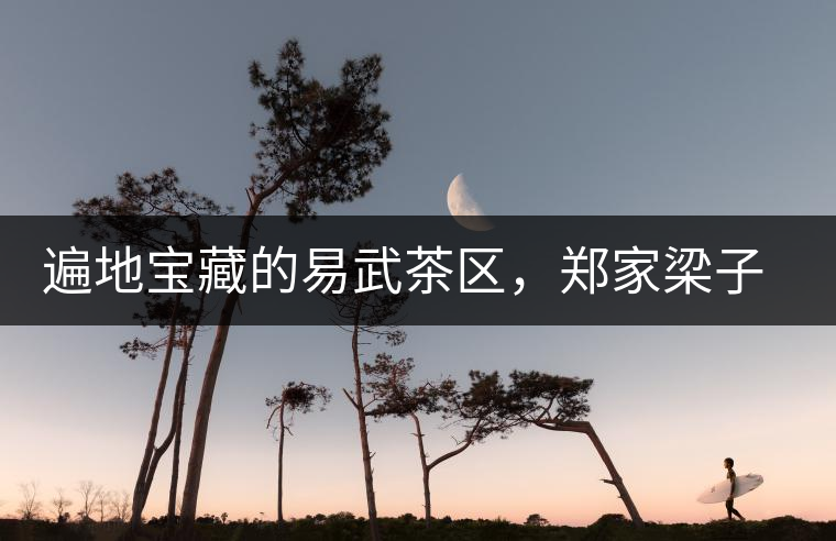 遍地寶藏的易武茶區(qū)，鄭家梁子荒田村古樹茶介紹