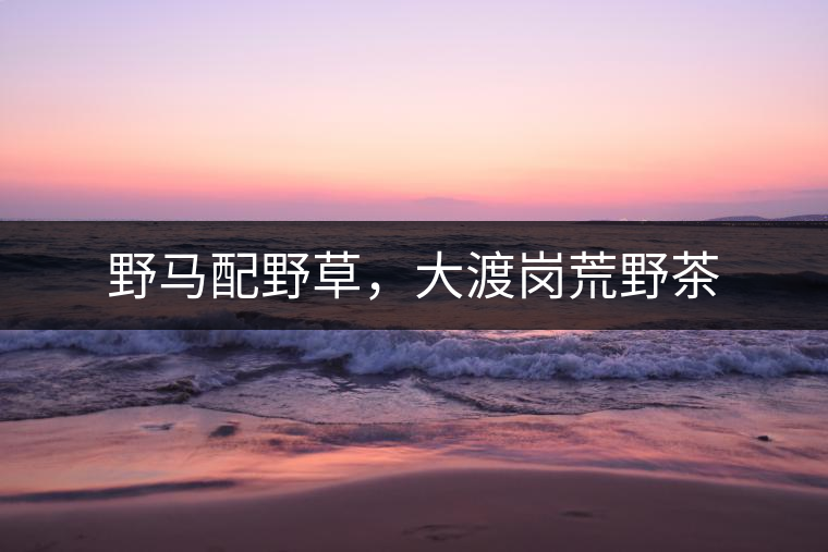 野馬配野草，大渡崗荒野茶