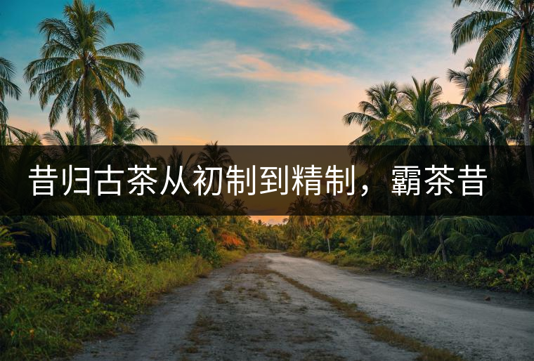 昔歸古茶從初制到精制，霸茶昔歸茶農(nóng)專業(yè)合作社成立