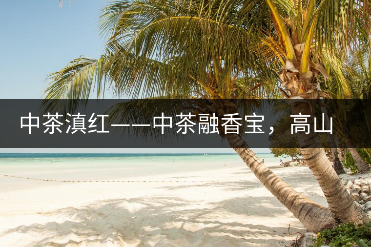 中茶滇紅——中茶融香寶，高山烏龍茶