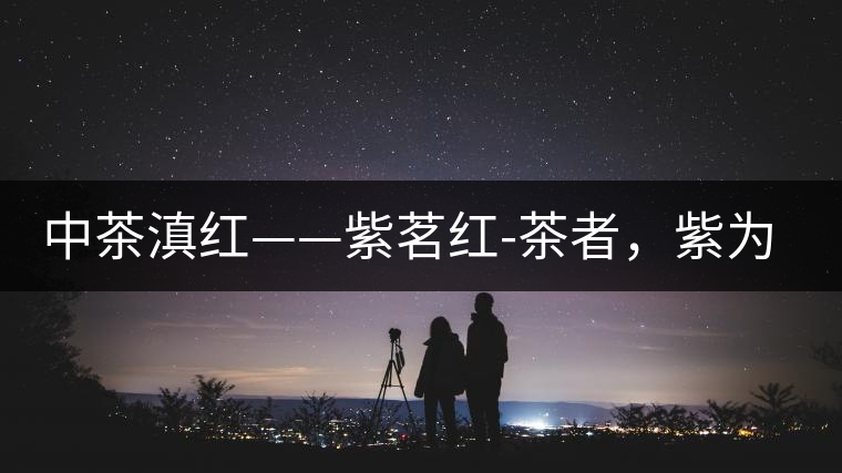 中茶滇紅——紫茗紅-茶者，紫為上