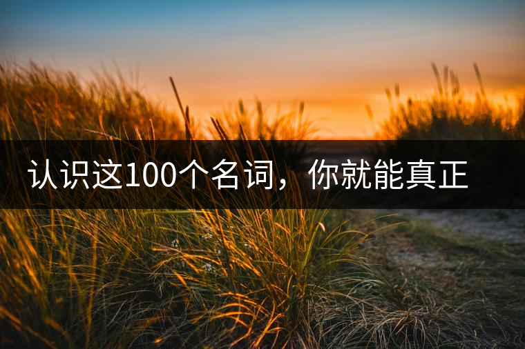 認(rèn)識(shí)這100個(gè)名詞，你就能真正了解普洱茶？