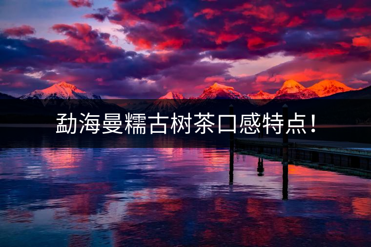 勐海曼糯古樹茶口感特點(diǎn)！