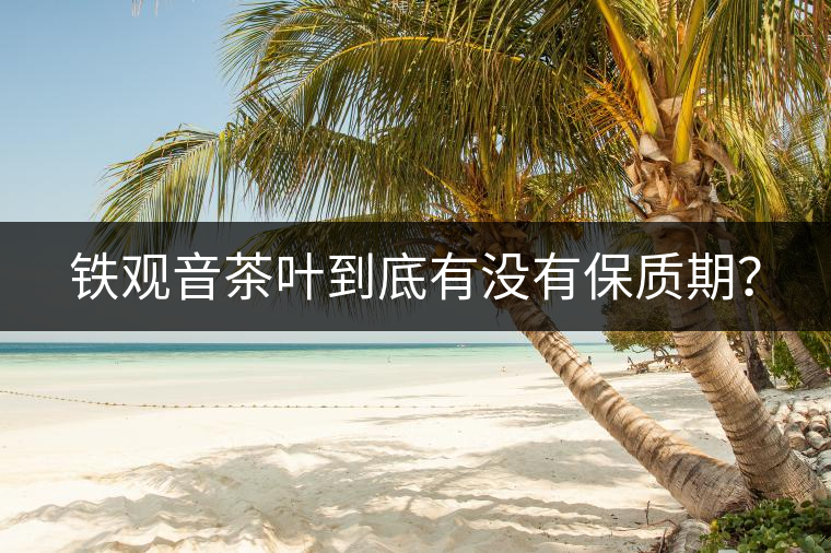 鐵觀音茶葉到底有沒有保質(zhì)期？