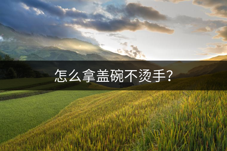 怎么拿蓋碗不燙手？